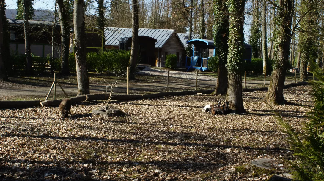 Village de vacances